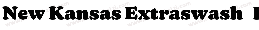 New Kansas Extraswash   Regular Ita字体转换